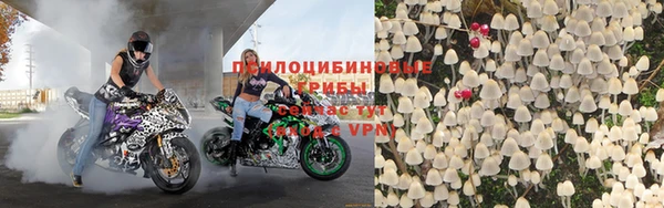 не бодяженный Белокуриха