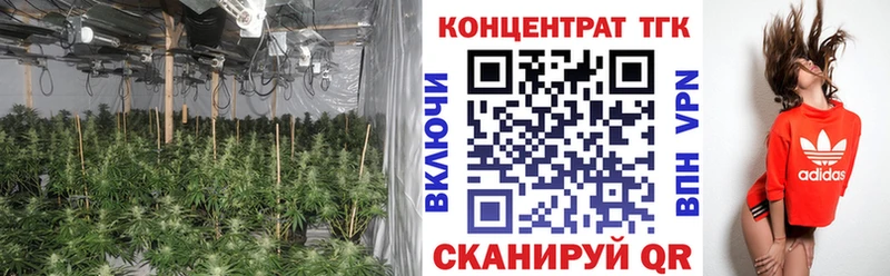 Дистиллят ТГК гашишное масло  ссылка на мегу ССЫЛКА  Касимов 
