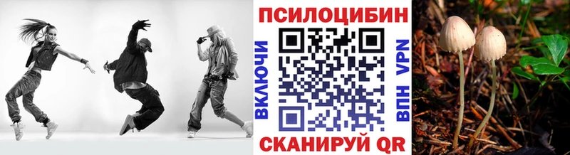 цены   Касимов  Галлюциногенные грибы MAGIC MUSHROOMS 